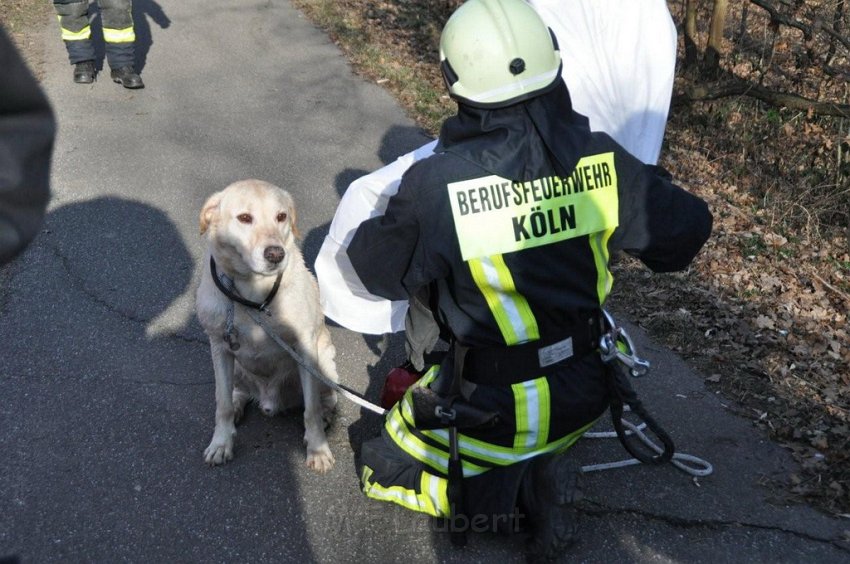 Hund und Frauchen im Eis eingebrochen Koeln Dellbrueck Hoehenfelder See P12.jpg